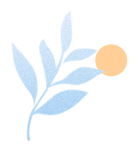 BS1.gif